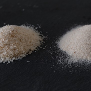 Psyllium