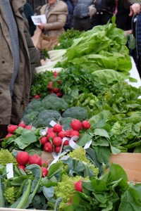 Jornada de la cebolleta. Consuegra (Toledo)
