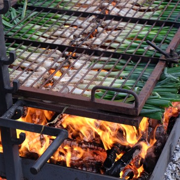 Jornada de la cebolleta. Consuegra (Toledo)