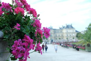 Paris sitios para comer