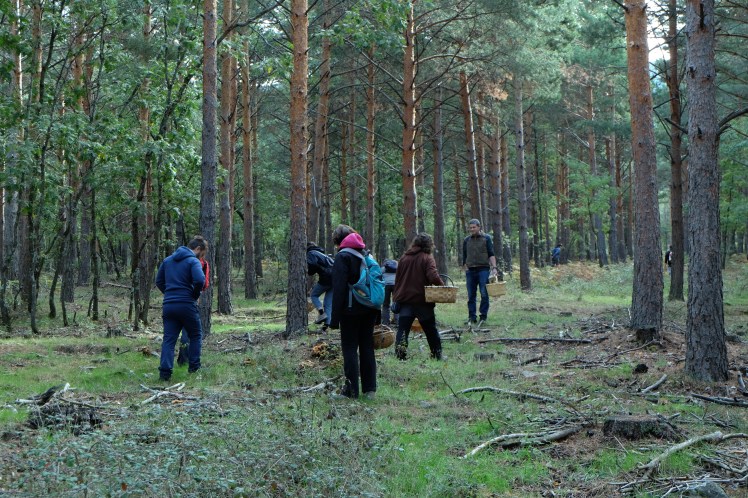 Asociacion Cultural Cantharellus