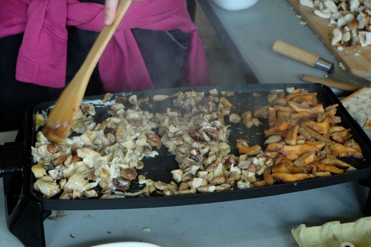 asociacion cantharellus