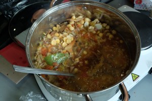 asociacion cantharellus