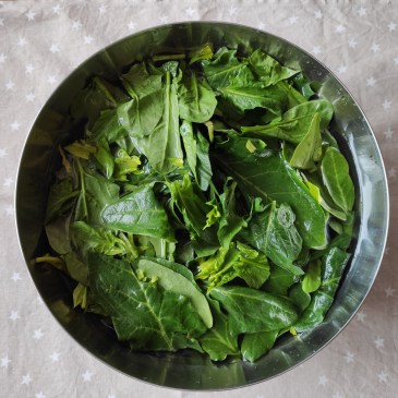 conservar hoja verde