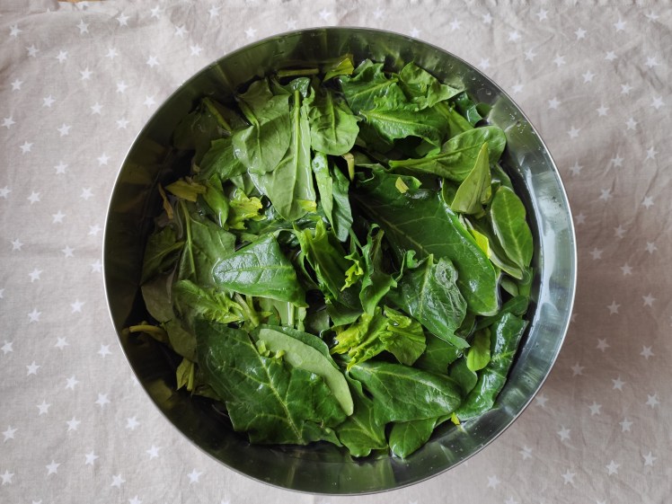 conservar hoja verde