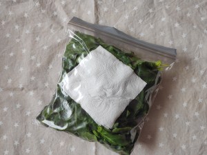 conservar hoja verde