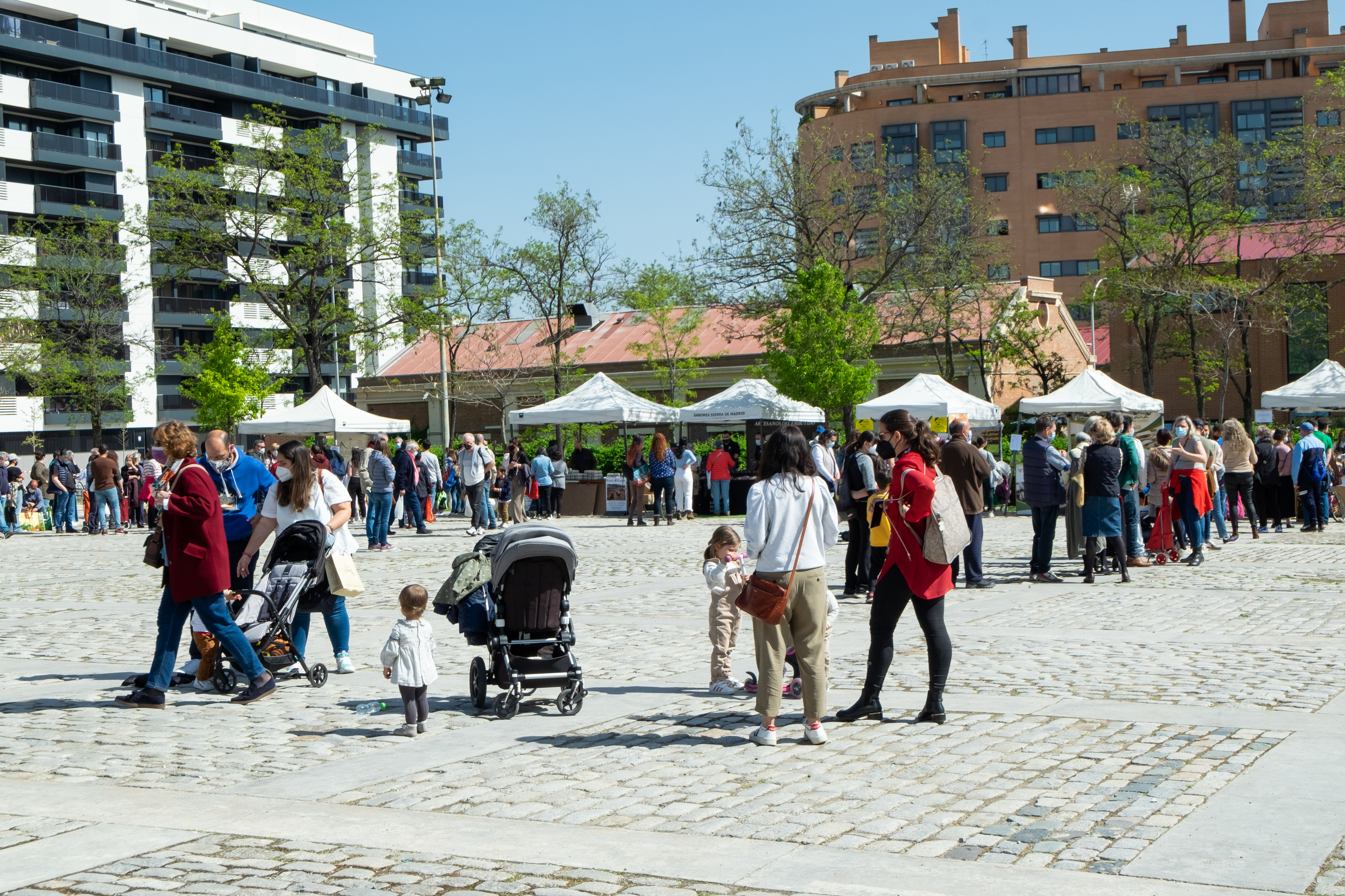 mercado de productores de planetario