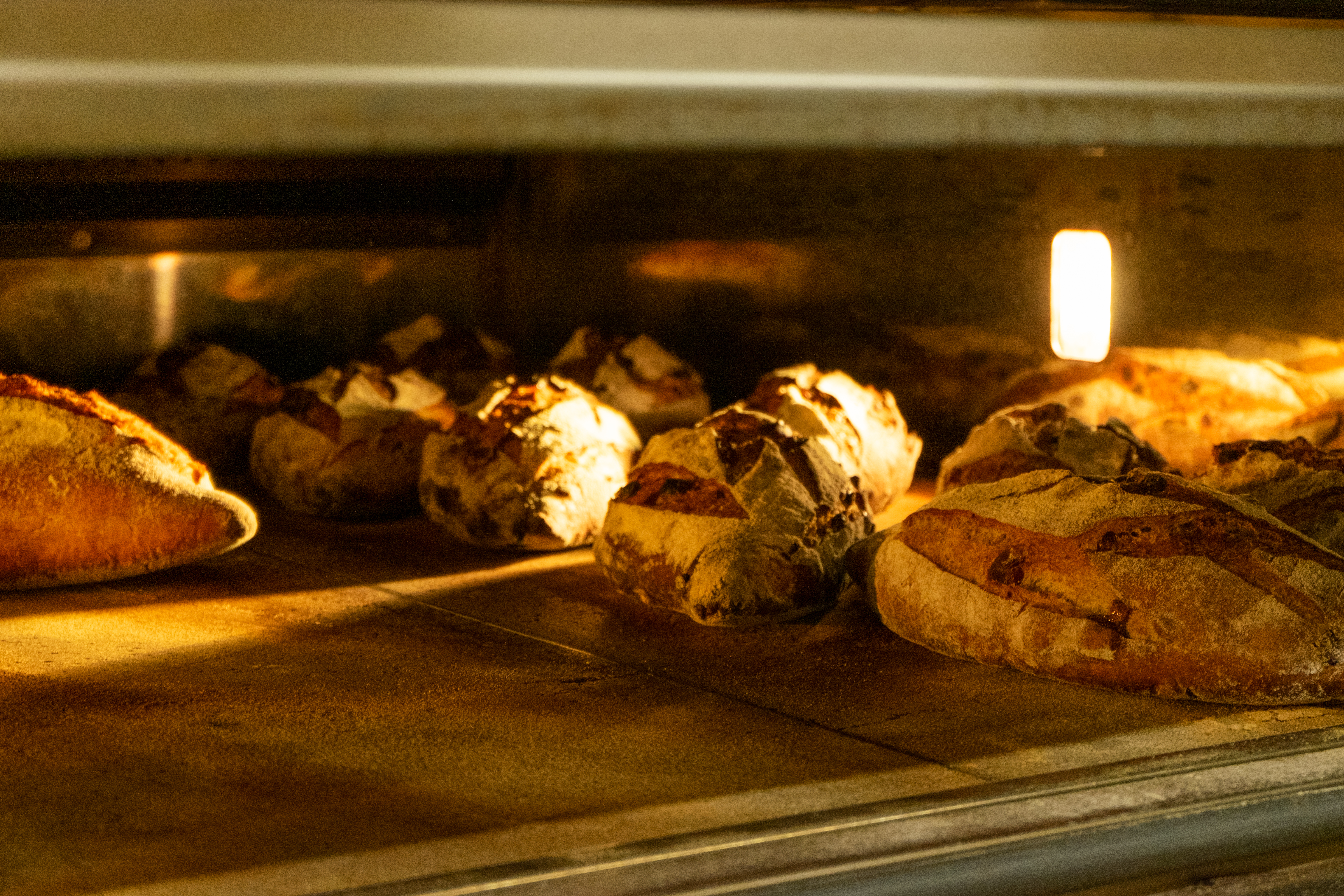 Levain tahona artesana