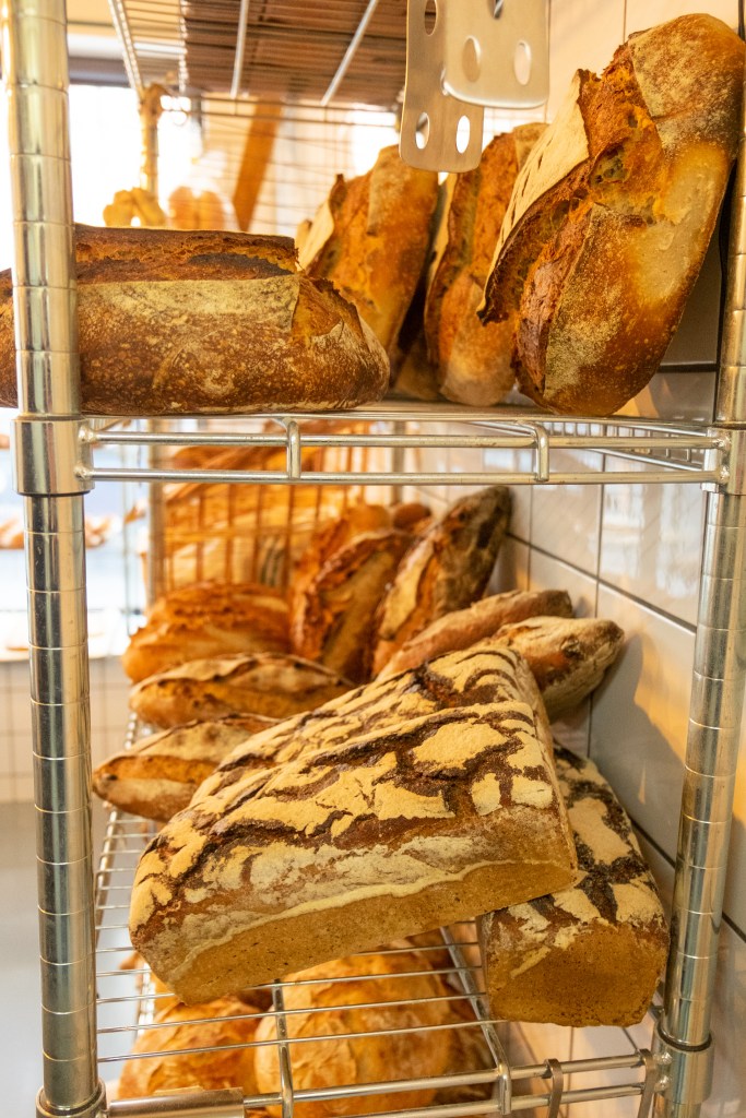 Levain tahona artesana