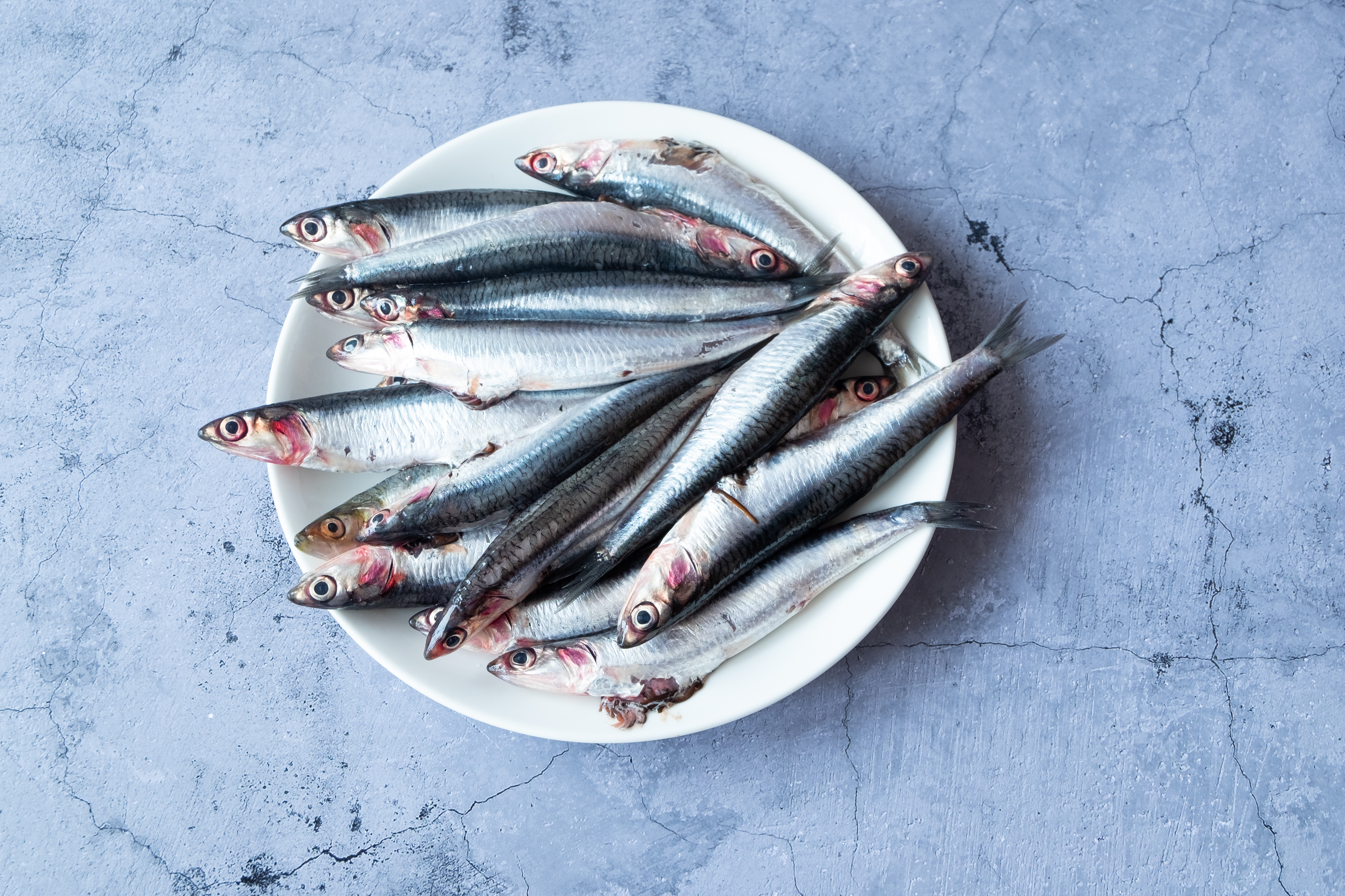 boquerones en vinagre