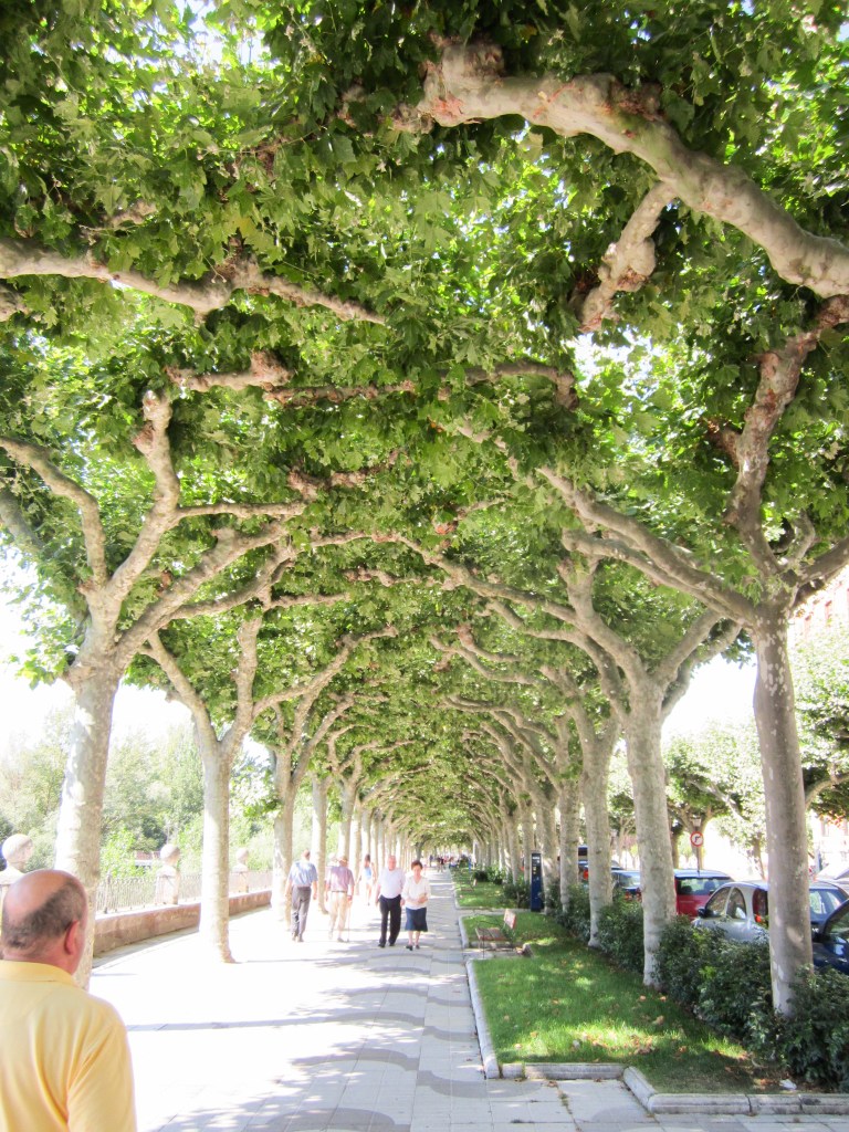 Paseo del Espolon Burgos