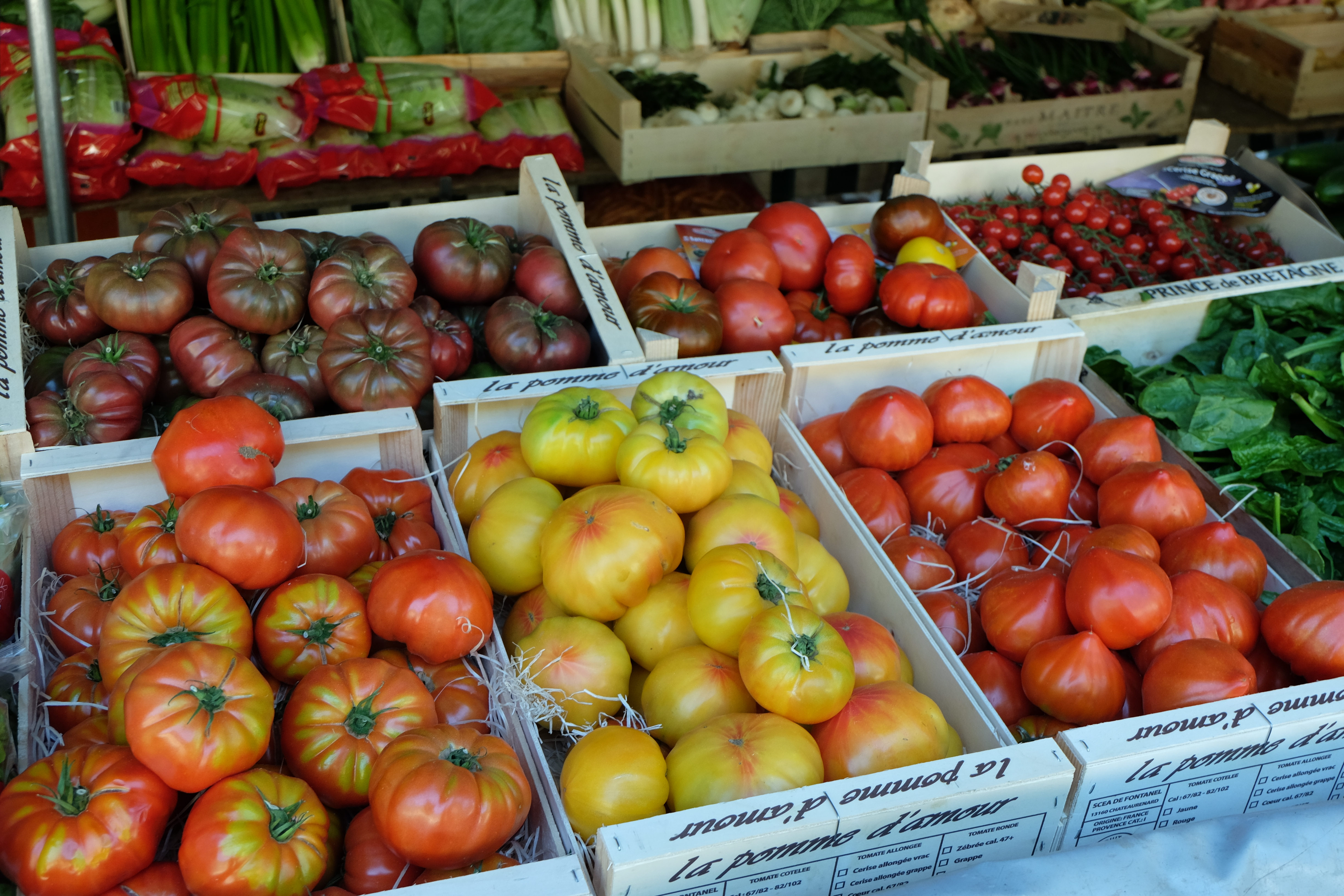 batch cooking ¿por donde empezar?