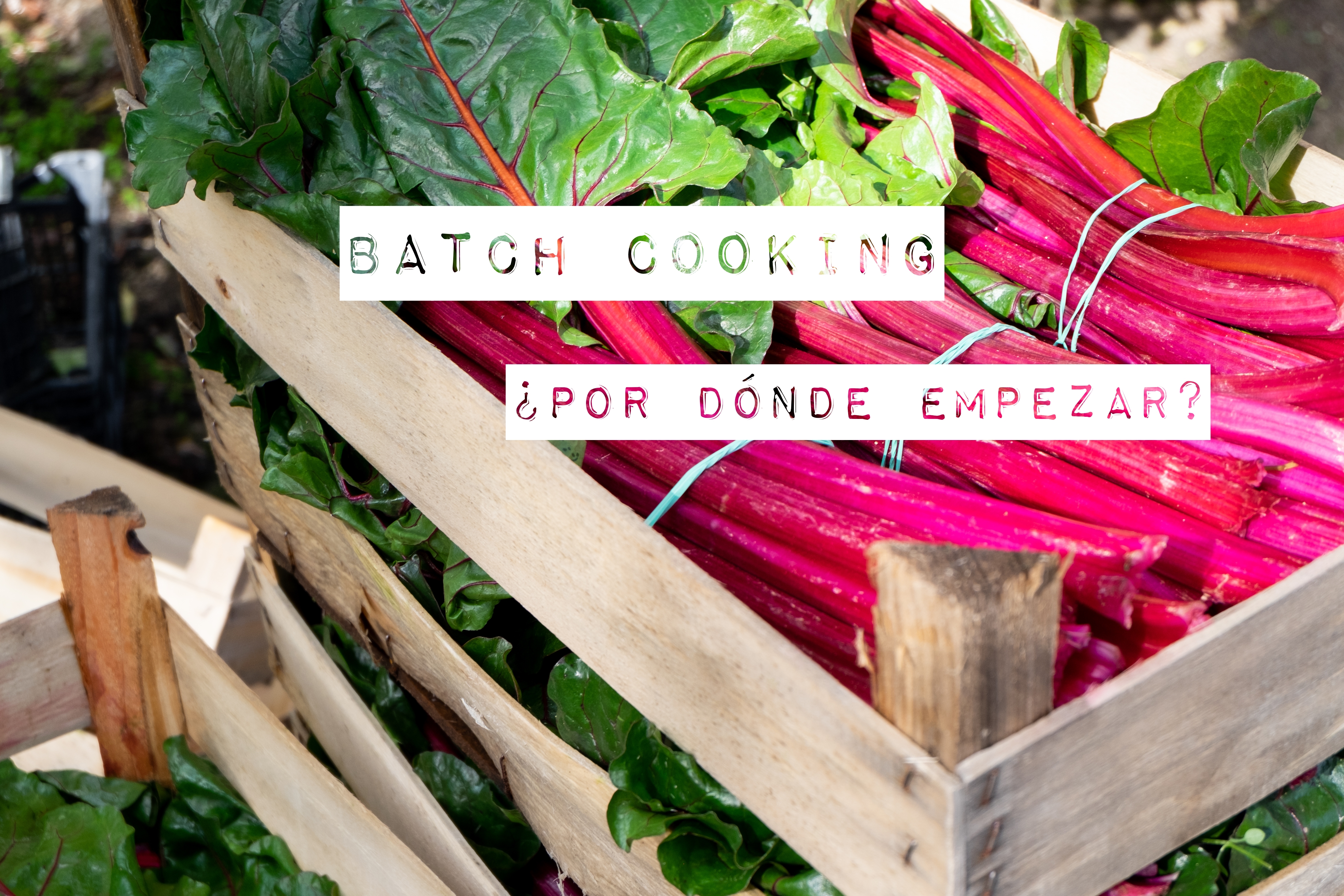 Batch cooking ¿por dónde empezar?